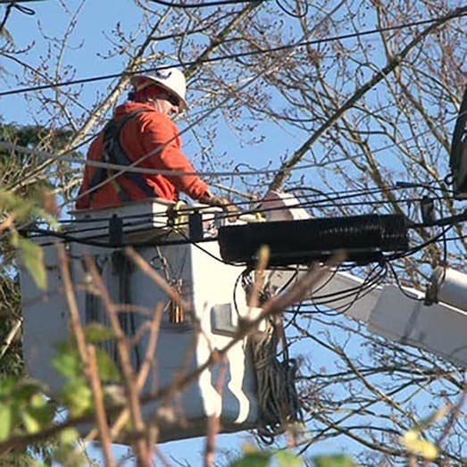 Eletricista Podador